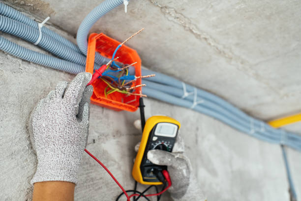 Best Home Electrical Repair  in Leslie, MI
